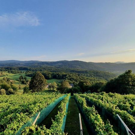 Vineyard Cottage Kulovec Ursna Sela Exterior foto